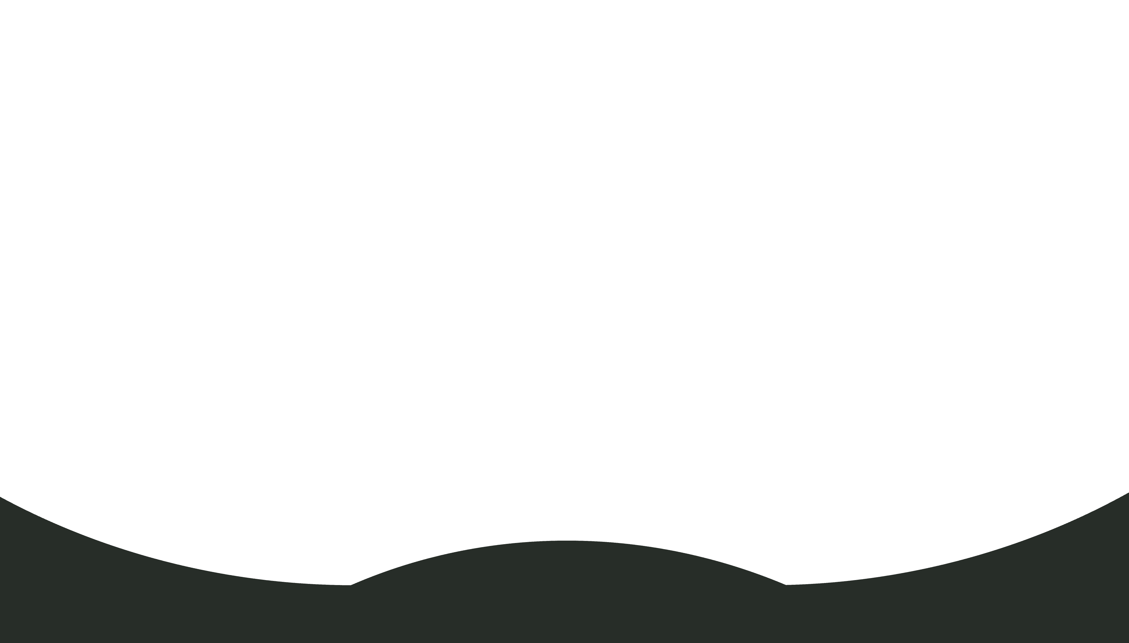 Hero Bottom Decoration